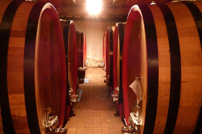 Gourmet Wine Tour San Gimignano Wine Tasting - San Quirico Winery - The tasting: 4 Tuscan wines, anchored by Vernaccia and Sangiovese