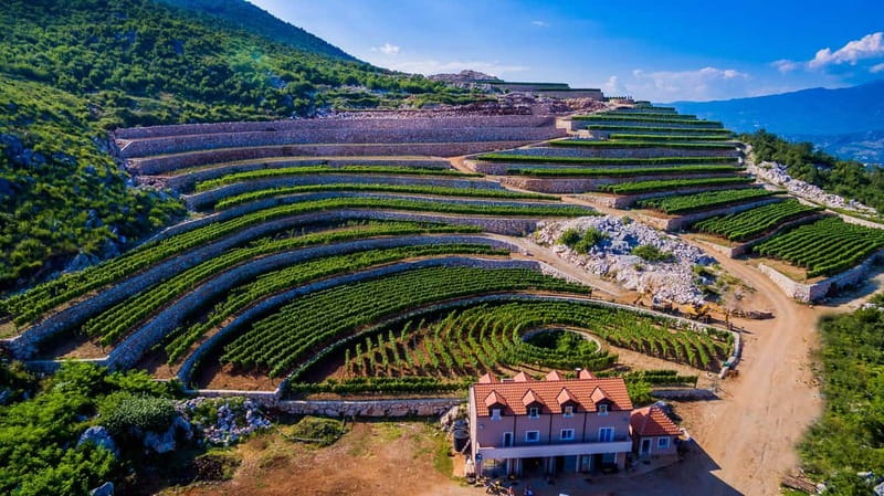 Građani: Winery Tour and Tasting at Winery Lipovac - Lipovac Winery on the Skadar Lake slopes