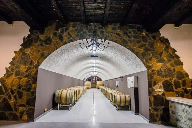 Građani: Winery Tour and Tasting at Winery Lipovac - Qvevri and amphora aging: the tour’s most memorable contrast