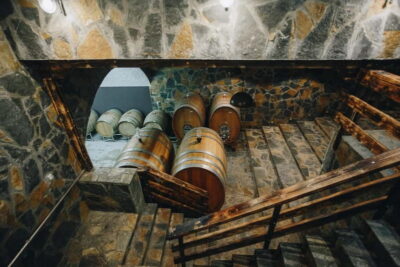 Građani: Winery Tour and Tasting at Winery Lipovac - The 45-minute guided tour: vineyards, bottling tech, and the 60-meter cellar