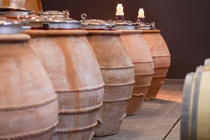 Građani: Winery Tour and Tasting at Winery Lipovac - Price value: what $35 buys you in real learning time
