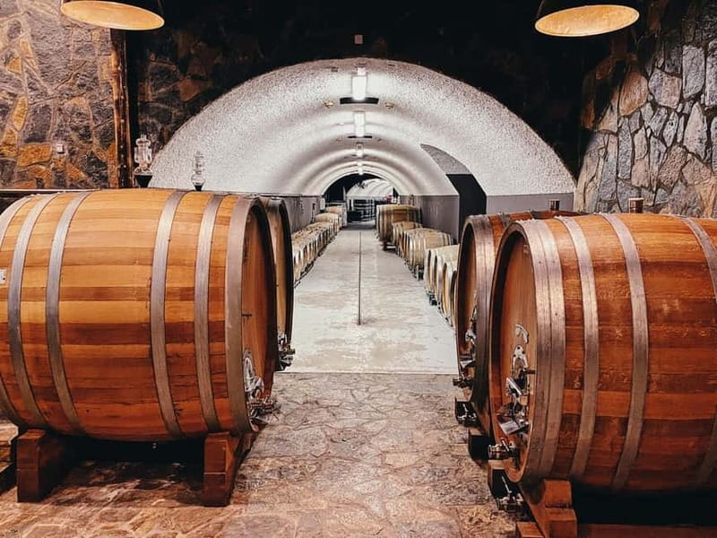 Građani: Winery Tour and Tasting at Winery Lipovac - Views, pacing, and group vibe: what to expect on arrival