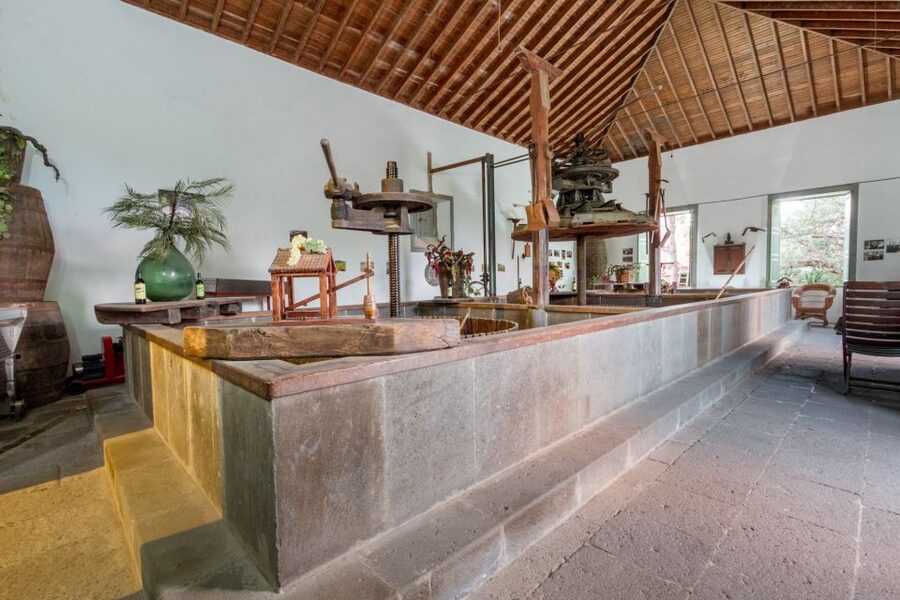 Gran Canaria: Winery Tour, Wine Museum, and Tasting - The 100-Year-Old Stone Lagares: Then vs Now