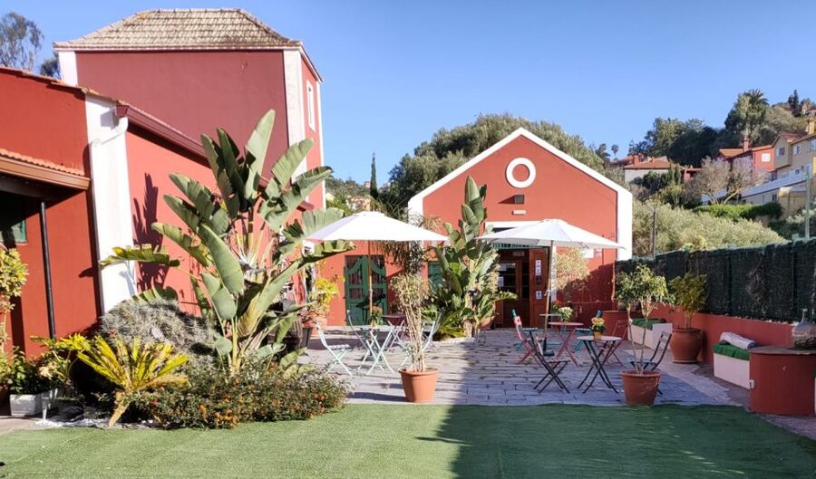Gran Canaria: Winery Tour, Wine Museum, and Tasting - Modern Facilities and the Smell of Fermentation in Wooden Casks