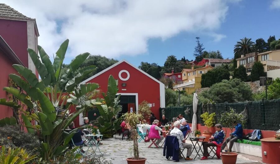 Gran Canaria: Winery Tour, Wine Museum, and Tasting - The Tasting: Two Wines, Cheese, Toasted Bread, and Olives