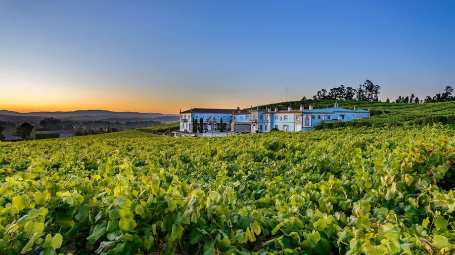 Granbazán Winery: Guided Tour and Wine Tasting - Why This Tour Works So Well for a Short Galicia Day