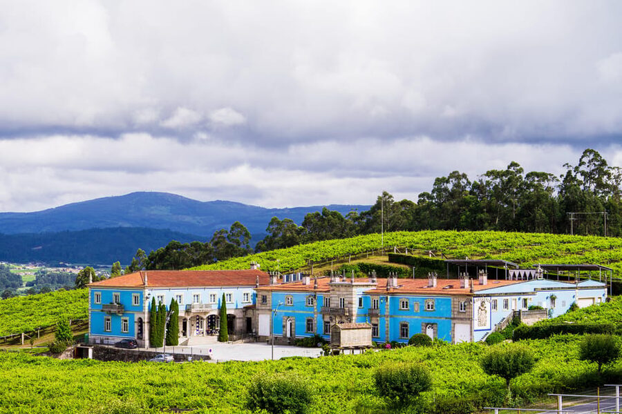 Granbazán Winery: Guided Tour and Wine Tasting - Getting There Without Hotel Pickup: The Logistics That Matter
