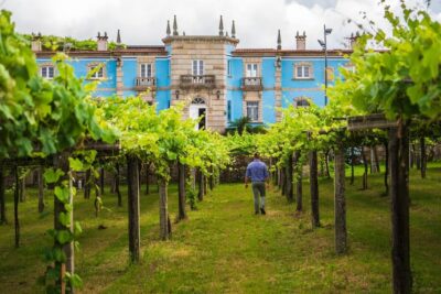Granbazán Winery: Guided Tour and Wine Tasting - Price and Value: What $29 Really Buys You