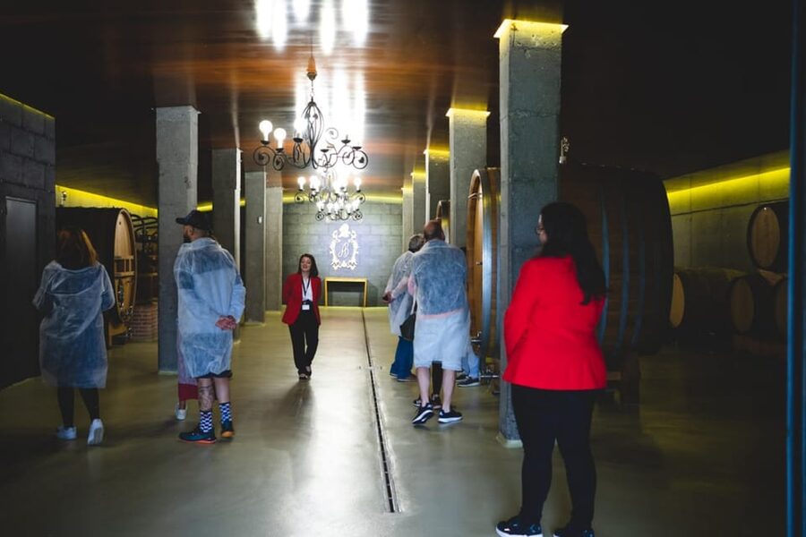 Granbazán Winery: Guided Tour and Wine Tasting - The Guided Tour: Vines, Production, and Clear Explanations