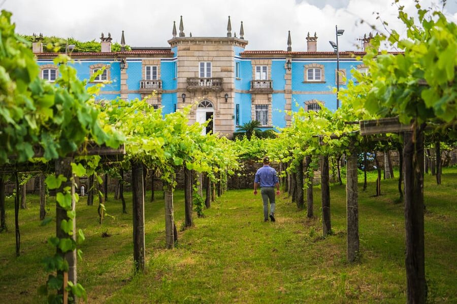 Granbazán Winery: Guided Tour and Wine Tasting - Price and Value: What $29 Really Buys You