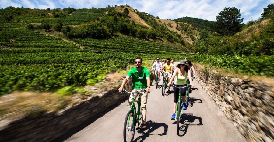 Grape Grazing: Wachau Valley Winery Biking Tour - Key Moments You Should Not Miss