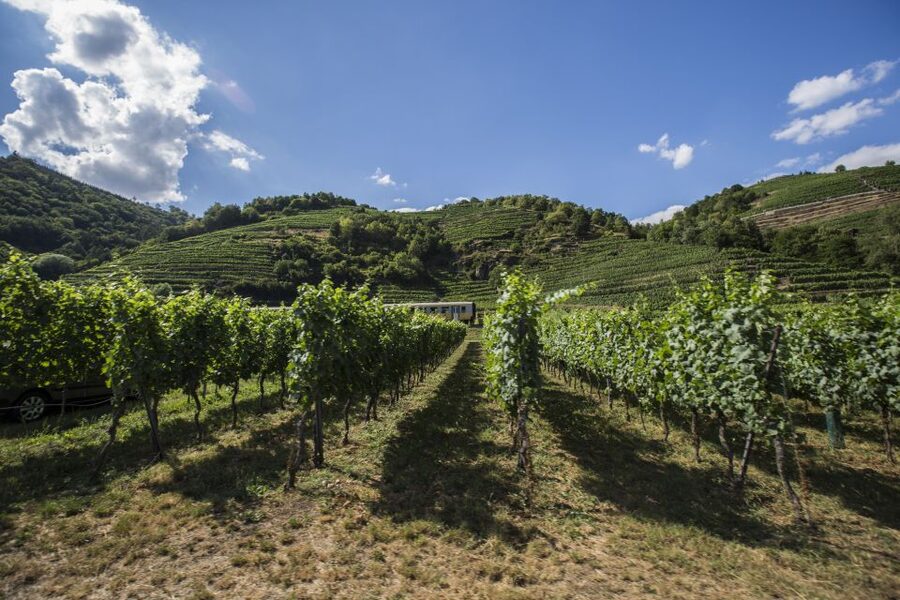 Grape Grazing: Wachau Valley Winery Biking Tour - Why This Wachau Bike Day Works So Well
