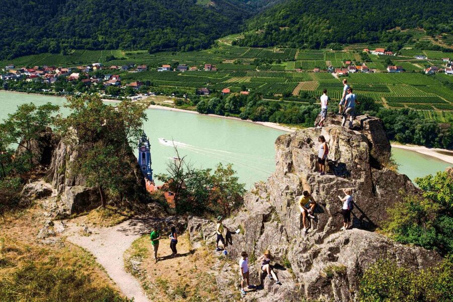 Grape Grazing: Wachau Valley Winery Biking Tour - Lunch in the Valley and the Bonus Hike Options After