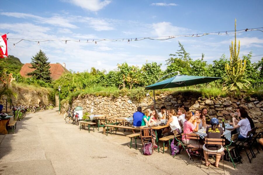 Grape Grazing: Wachau Valley Winery Biking Tour - The Danube Cooling-Off Moment: Swim or Skip with Confidence