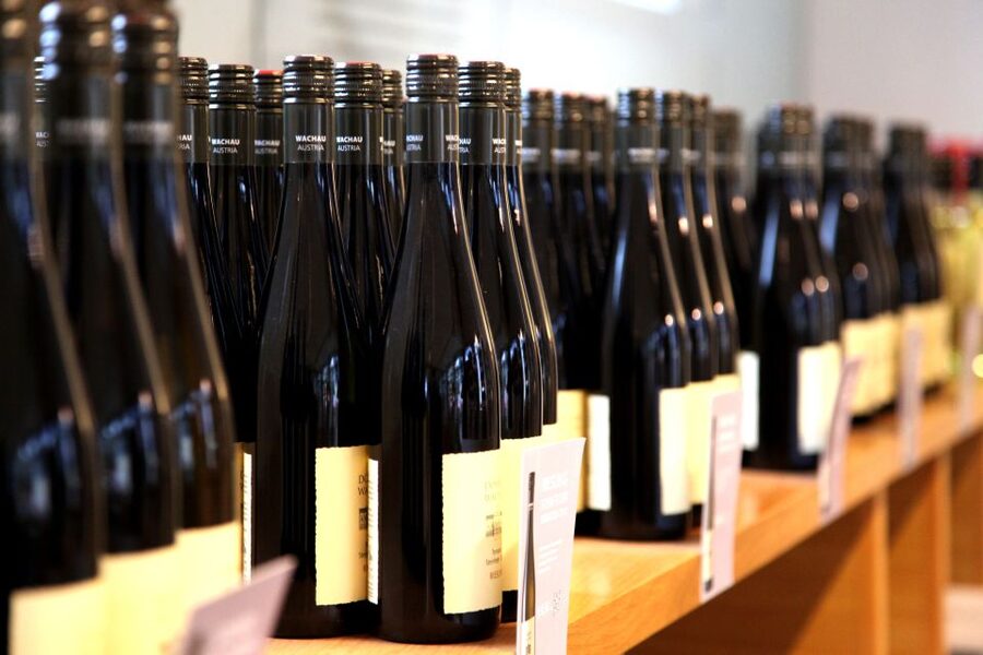 Grape Grazing: Wachau Valley Winery Biking Tour - Bikes, Pace, and Weather: What to Wear and How Hard It Really Is