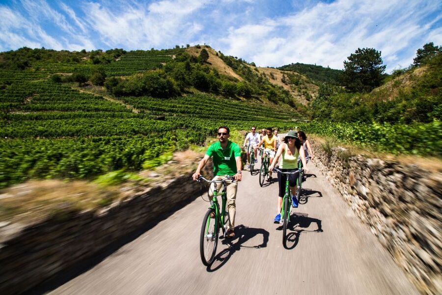 Grape Grazing: Wachau Valley Winery Biking Tour - The Morning Start From Vienna: Train, Bike Fit, and Quick Setup