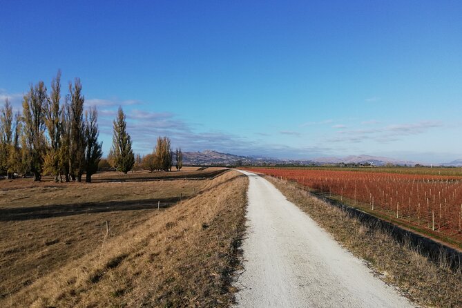 Great Escape Self-Guided Scenic Cycle Winery Tour from Napier - Why this Napier cycle tour feels like a smart “use your day” plan