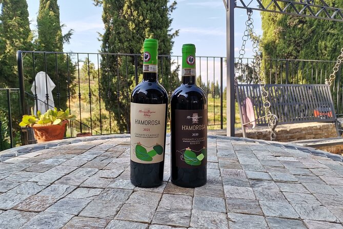 Greve in Chianti Wine Tasting and Winery Tour - Entering Azienda Agricola Brogioni Maurizio in Greve