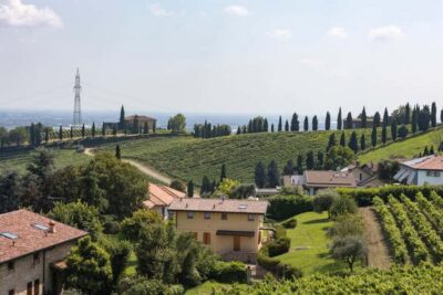 Grumello: Wine Tasting Tour at Historic Family Winery - The 3-hour flow: cellar aperitif, vineyard walk, and tasting room