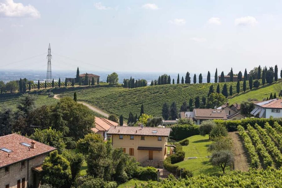 Grumello: Wine Tasting Tour at Historic Family Winery - The 3-hour flow: cellar aperitif, vineyard walk, and tasting room