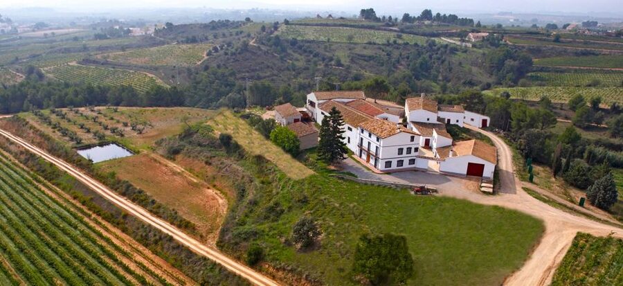 Guardiola de Font-Rubí: Winery & Grill Menu Tour - Entering the world of Alt Penedès, one calm morning at a time
