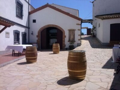 Guardiola de Font-Rubí: Winery & Grill Menu Tour - Vineyard walking tour: where the explanation finally makes sense