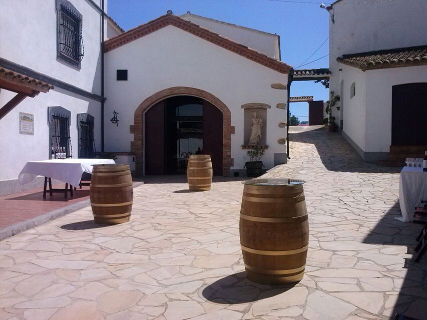 Guardiola de Font-Rubí: Winery & Grill Menu Tour - Vineyard walking tour: where the explanation finally makes sense