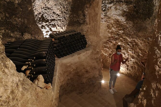 Guided Madrid Countryside Wine Tasting & Winery Tour - The tasting: guided pours with pairing talk that actually helps