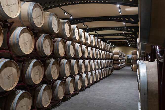 Guided tour and tasting at Duca di Salaparuta Winery - Where Duca di Salaparuta Fits in Your Sicily Plan