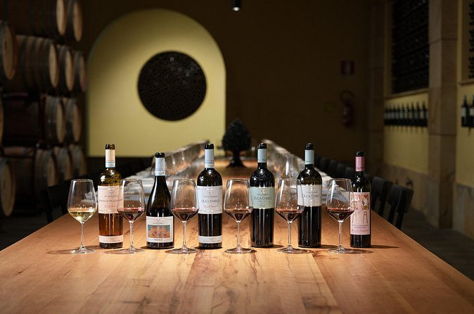 Guided tour and tasting at Duca di Salaparuta Winery - Price and Value: Is $108.14 for 90 Minutes Fair?