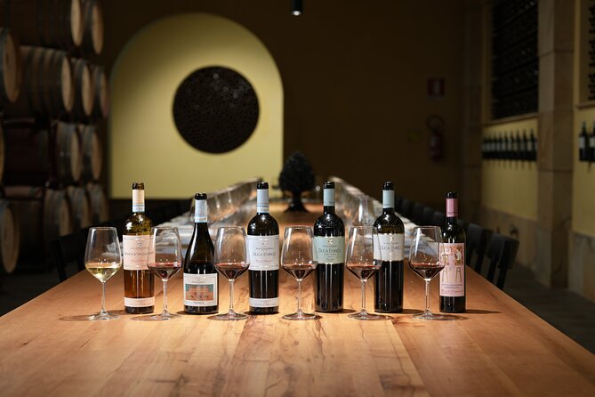 Guided tour and tasting at Duca di Salaparuta Winery - Who Should Book This (and Who Should Skip It)