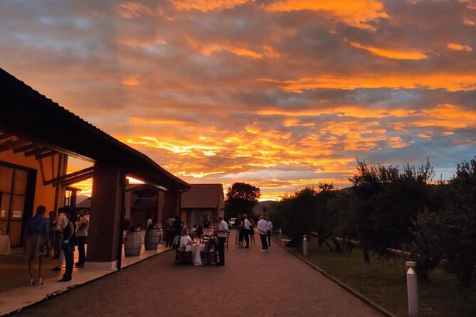 Guided Tour and Wine Tasting in the Sandro De Bruno Winery - Key things to know before you go