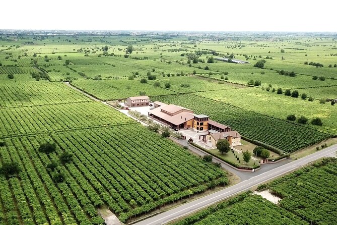 Guided Tour and Wine Tasting in the Sandro De Bruno Winery - The tasting itself: three wines with a volcanic-terroir angle