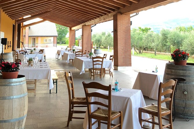 Guided Tour and Wine Tasting in the Sandro De Bruno Winery - Price and value: what $43.96 buys you here