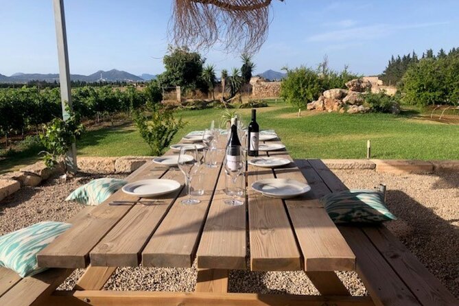 Guided tour of Butxet winery - A low-key Mallorca wine tour with time for the views