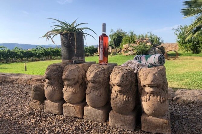 Guided tour of Butxet winery - Getting to Bodegas Butxet: simple logistics, no pickup