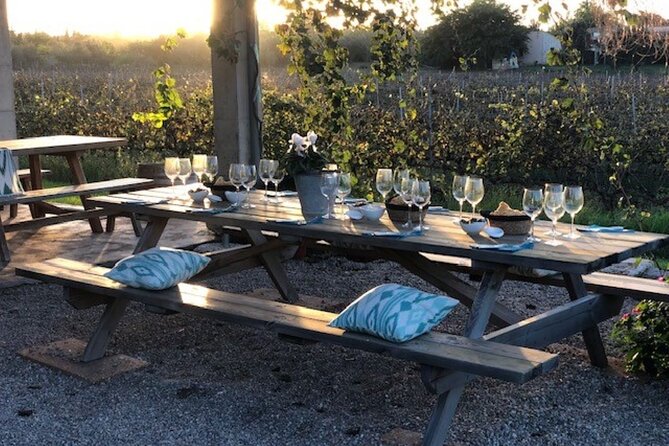 Guided tour of Butxet winery - Weather realities: plan for rescheduling options
