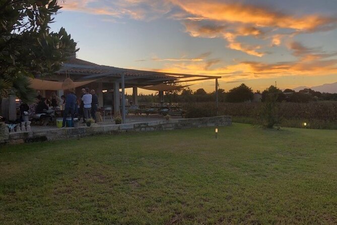 Guided tour of Butxet winery - Final call: should you book the Butxet winery tour?