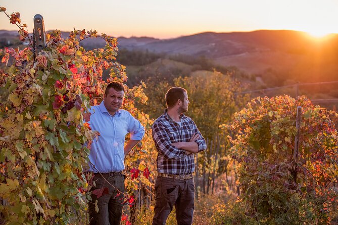 Guided tour of vineyards and winery with tasting 4 wines - Key highlights you should know