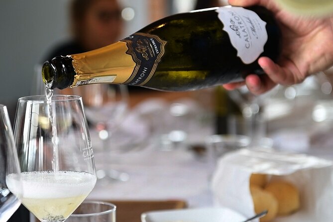 Guided tour of vineyards and winery with tasting 4 wines - The Tasting Lesson: 4 Wines, Stefano’s Practical Method
