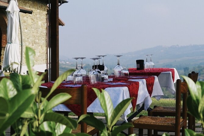 Guided tour of vineyards and winery with tasting 4 wines - Pairing Bites, Timing, and the Afternoon’s Flow