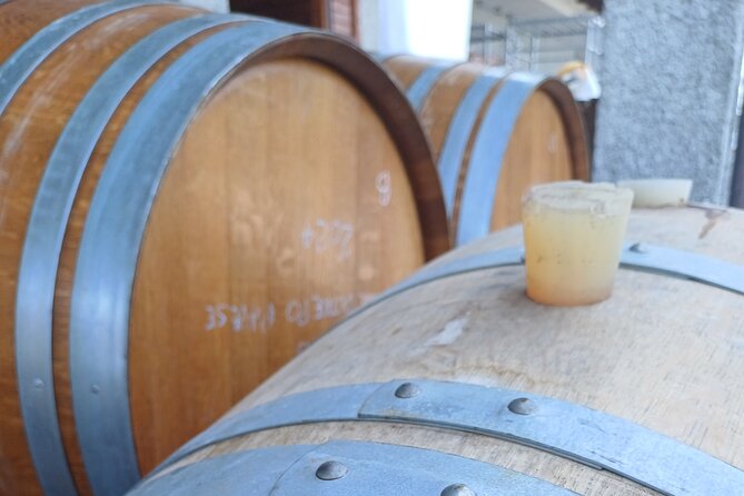 Guided tour of vineyards and winery with tasting 4 wines - Price and Value: Is $22.86 Worth It?