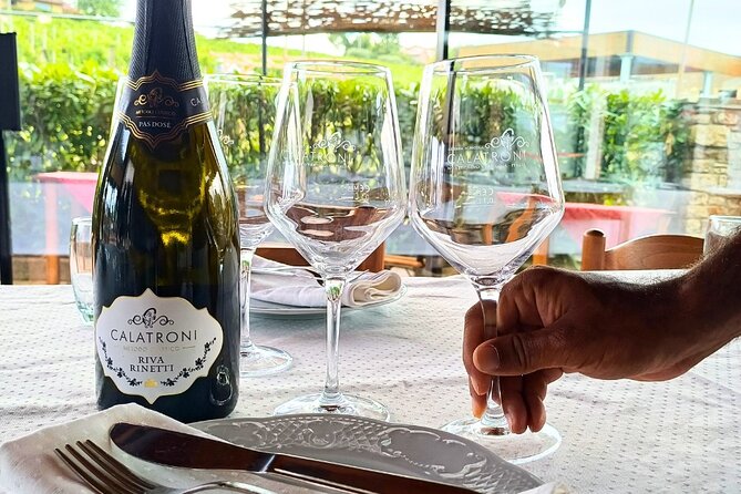 Guided tour of vineyards and winery with tasting 4 wines - Who This Tour Fits Best (And Who Might Want Another Option)