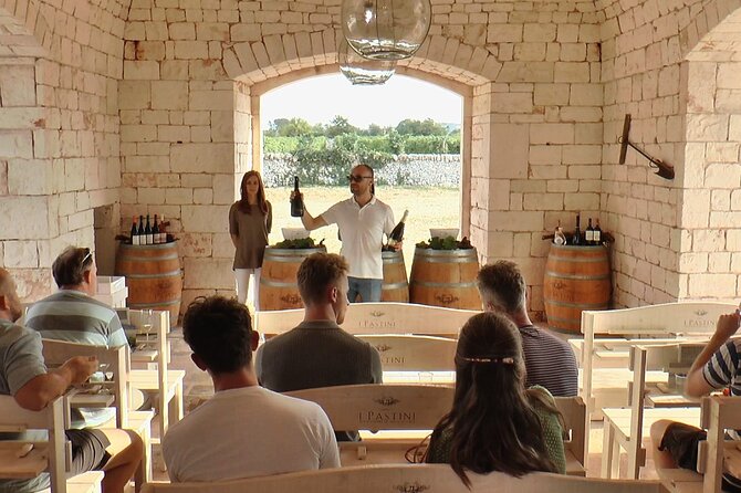 Guided tour through the vineyards with local wine tasting - Entering the winery: cellar time without getting lost in jargon