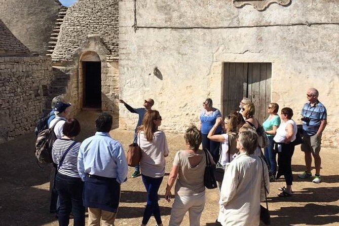 Guided tour through the vineyards with local wine tasting - What you’re really buying: a vineyard walk + cellar tour + tasting