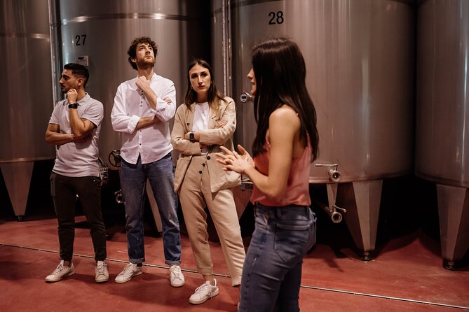 Guided Visit and Wine Tasting at the Winery in Veneto - Step-by-step: Walking the vineyard path from grape to cellar