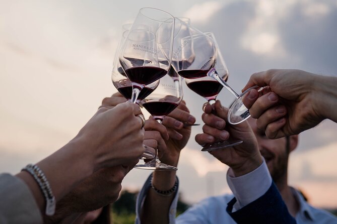 Guided Visit and Wine Tasting at the Winery in Veneto - What to expect on the day: location, meeting point, and flow