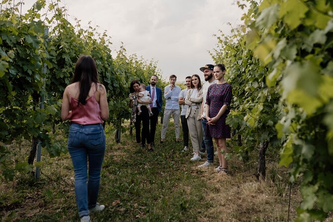 Guided Visit and Wine Tasting at the Winery in Veneto - Should you book Cantina Manera Luigi in Veneto?