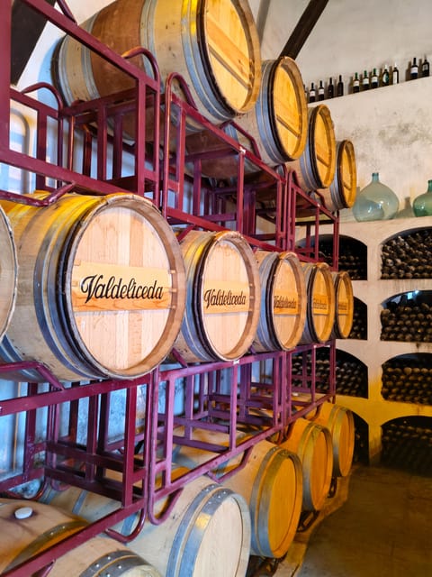 GUIDED VISIT TO BODEGA DEL NERO WINERY - Why Chinchón wine feels personal at Bodega del Nero