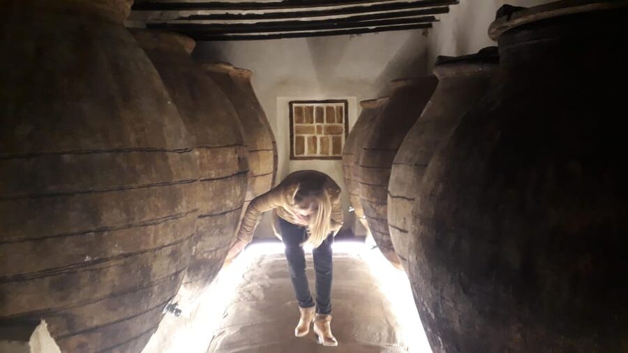 GUIDED VISIT TO BODEGA DEL NERO WINERY - Walking the facilities: how the production process is explained